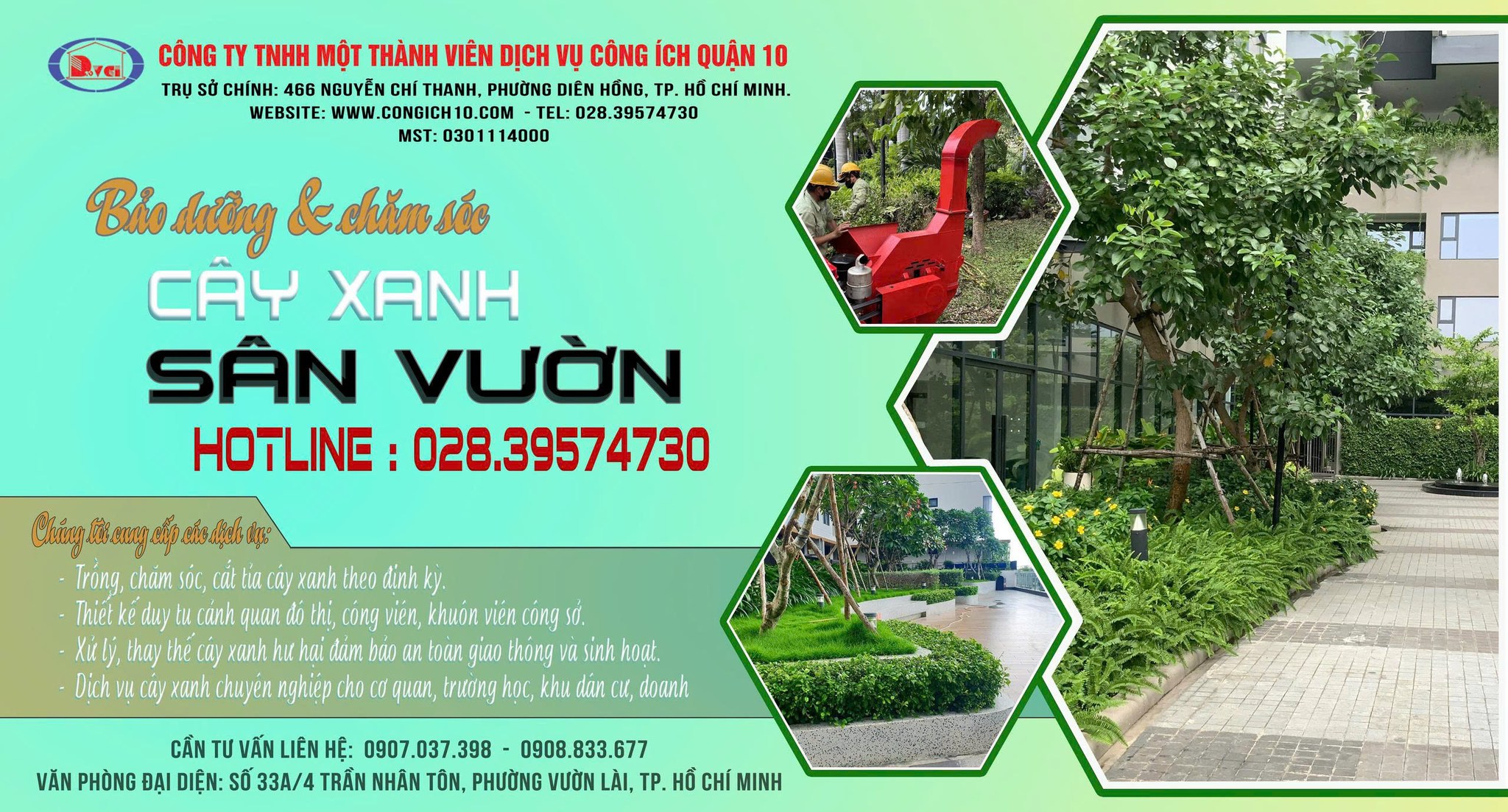 Chăm sóc cây xanh